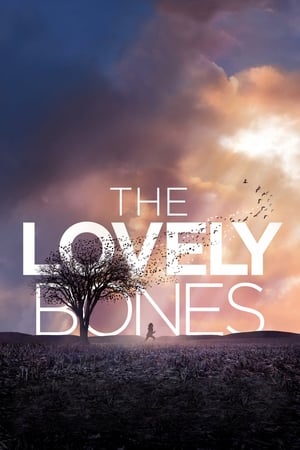 The Lovely Bones (2009) Hindi Dual Audio 480p BluRay 430MB Movie Poster