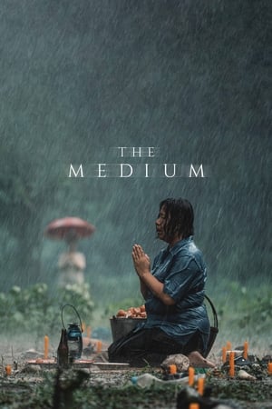 The Medium (2021) Hindi Dual Audio HDRip 720p – 480p Movie Poster