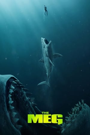 The Meg (2018) Hindi (Org) Dual Audio 720p BluRay [1.1GB] Movie Poster