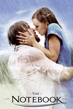 The Notebook 2004 Dual Audio Hindi 480p BRRip 400MB Movie Poster