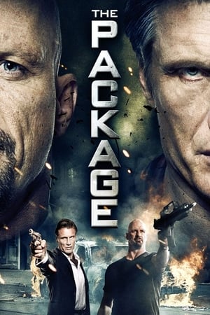 The Package (2013) Hindi Dual Audio 720p HDRip [750MB] Movie Poster