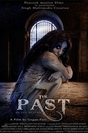 The Past 2018 Hindi Movie 480p HDRip - [350MB] Movie Poster