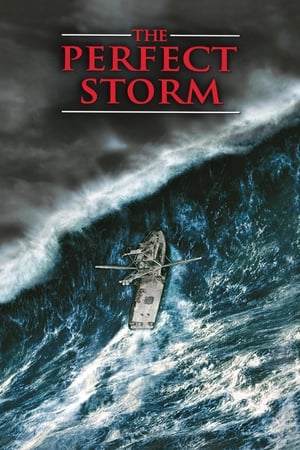 The Perfect Storm (2000) Hindi Dual Audio 480p HDRip 450MB Movie Poster