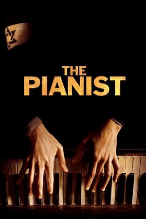 The Pianist (2002) Hindi Dual Audio 480p BluRay 450MB Movie Poster