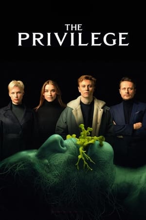 The Privilege (2022) Hindi Dual Audio HDRip 720p – 480p Movie Poster