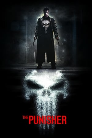 The Punisher 2004 Hindi Dual Audio 480p BluRay 380MB Movie Poster