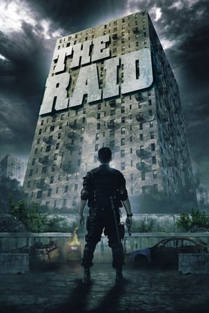 The Raid: Redemption (2011) Hindi Dual Audio 480p BluRay 300MB ESubs Movie Poster