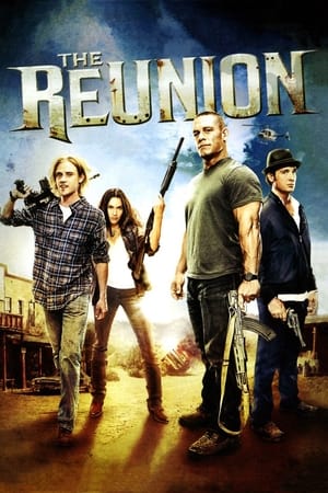 The Reunion (2011) Hindi Dual Audio 480p HDRip 300MB Movie Poster