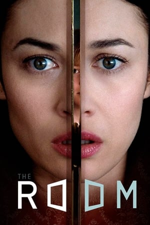 The Room 2019 Hindi Dual Audio 480p BluRay 300MB Movie Poster