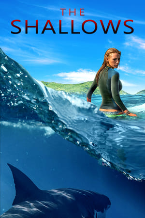 The Shallows 2016 Dual Audio (Hindi) 720p [1GB] Movie Poster