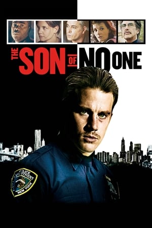 The Son of No One (2011) Hindi Dual Audio 720p BluRay [900MB] Movie Poster