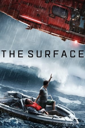 The Surface (2014) Hindi Dual Audio 720p Web-DL [800MB] Movie Poster