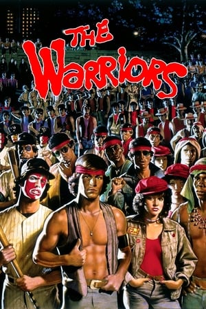 The Warriors 1979 Hindi Dual Audio 480p BluRay 300MB Movie Poster