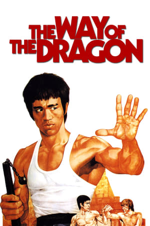 The Way of the Dragon (1972) Hindi Dual Audio 480p BluRay 300MB Movie Poster