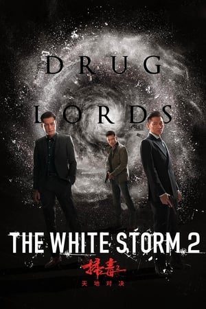 The White Storm 2: Drug Lords (2019) Hindi (Org) 720p HDRip [950MB] Movie Poster