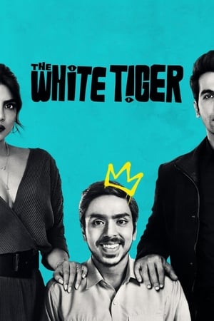 The White Tiger (2021) Hindi Movie 480p HDRip – [370MB] Movie Poster