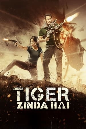 Tiger Zinda Hai 2017 Hindi Movie BluRay 720p Hevc [700MB] Movie Poster