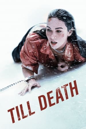 Till Death (2021) Hindi Dual Audio 480p HDRip 350MB Movie Poster