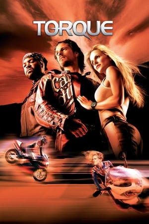 Torque 2004 300MB Hindi Dual Audio BRRip Download Movie Poster