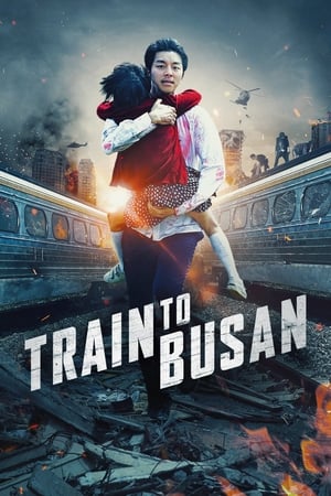 Train to Busan (2016) Hindi Dual Audio 720p BluRay [1GB] Movie Poster