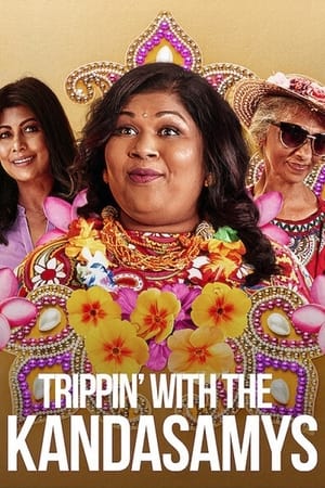 Trippin with the Kandasamys 2021 Hindi Dual Audio 720p Web-DL [850MB] Movie Poster