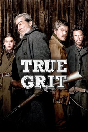 True Grit (2010) Hindi Dual Audio 480p BluRay 350MB Movie Poster