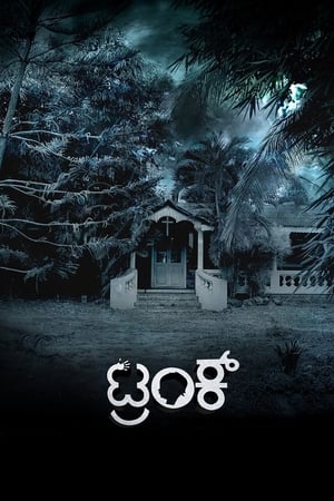 Trunk (2018) (Hindi - Kannada) Dual Audio 720p UnCut HDRip [1.4GB] Movie Poster