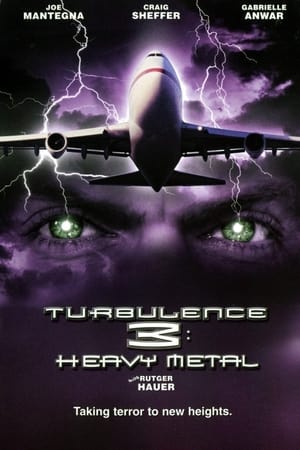 Turbulence 3 Heavy Metal 2001 Hindi Dual Audio 480p Web-DL 300MB Movie Poster