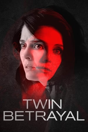 Twin Betrayal (2018) Hindi Dual Audio 480p HDRip 390MB Movie Poster