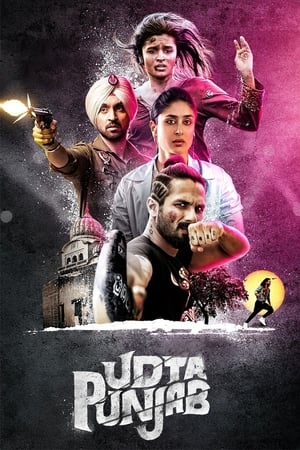 Udta Punjab (2016) Hindi Movie 480p BluRay - [340MB] Movie Poster