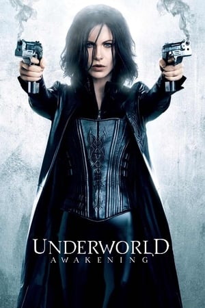 Underworld Awakening (2012) 100mb Hindi Dual Audio movie Hevc BRRip Download Movie Poster