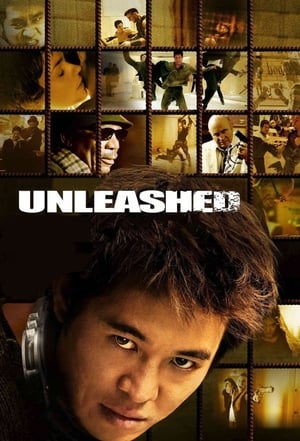 Unleashed (2005) Hindi Dual Audio 480p BluRay 360MB Movie Poster