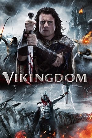 Vikingdom 2013 Hindi Dual Audio 720p BluRay [1GB] Movie Poster