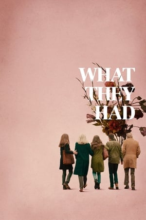 What They Had (2018) Hindi Dual Audio 720p BluRay [900MB] Movie Poster