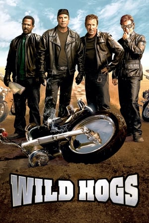 Wild Hogs (2007) Hindi Dual Audio 720p BluRay [750MB] Movie Poster