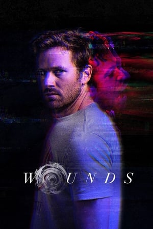 Wounds (2019) Hindi Dual Audio 480p BluRay 300MB Movie Poster