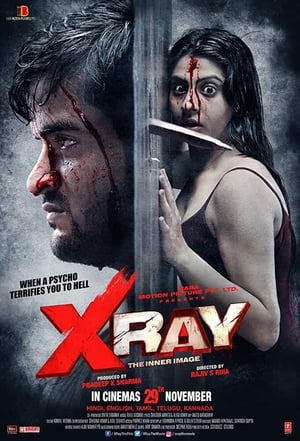 X Ray The Inner Image 2019 Movie 480p HDRip - [300MB] Movie Poster