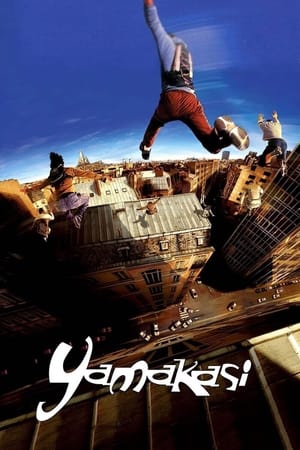 Yamakasi 2001 Hindi Dual Audio 480p BluRay 300MB Movie Poster