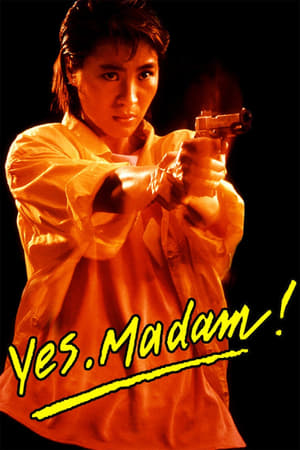 Yes Madam 1985 300MB Hindi Dubbed BRRip 480p Download Movie Poster