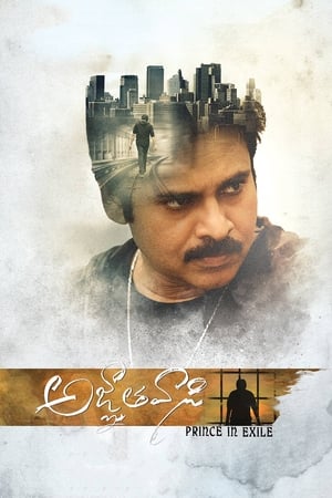 Yevadu 3 (Agnyaathavaasi) 2018 Movie Dual Audio Hindi 720p UnCut HDRip [1.5GB] Movie Poster