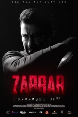 Zarrar (2022) Urdu Movie Pre-DVDRip 720p – 480p Movie Poster