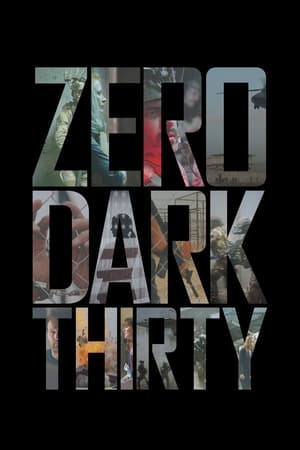 Zero Dark Thirty 2012 Hindi Dual Audio 480p BluRay 450MB Movie Poster