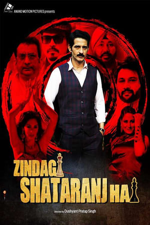 Zindagi Shatranj Hai (2023) Hindi Movie Pre-DVDRip 720p – 480p Movie Poster